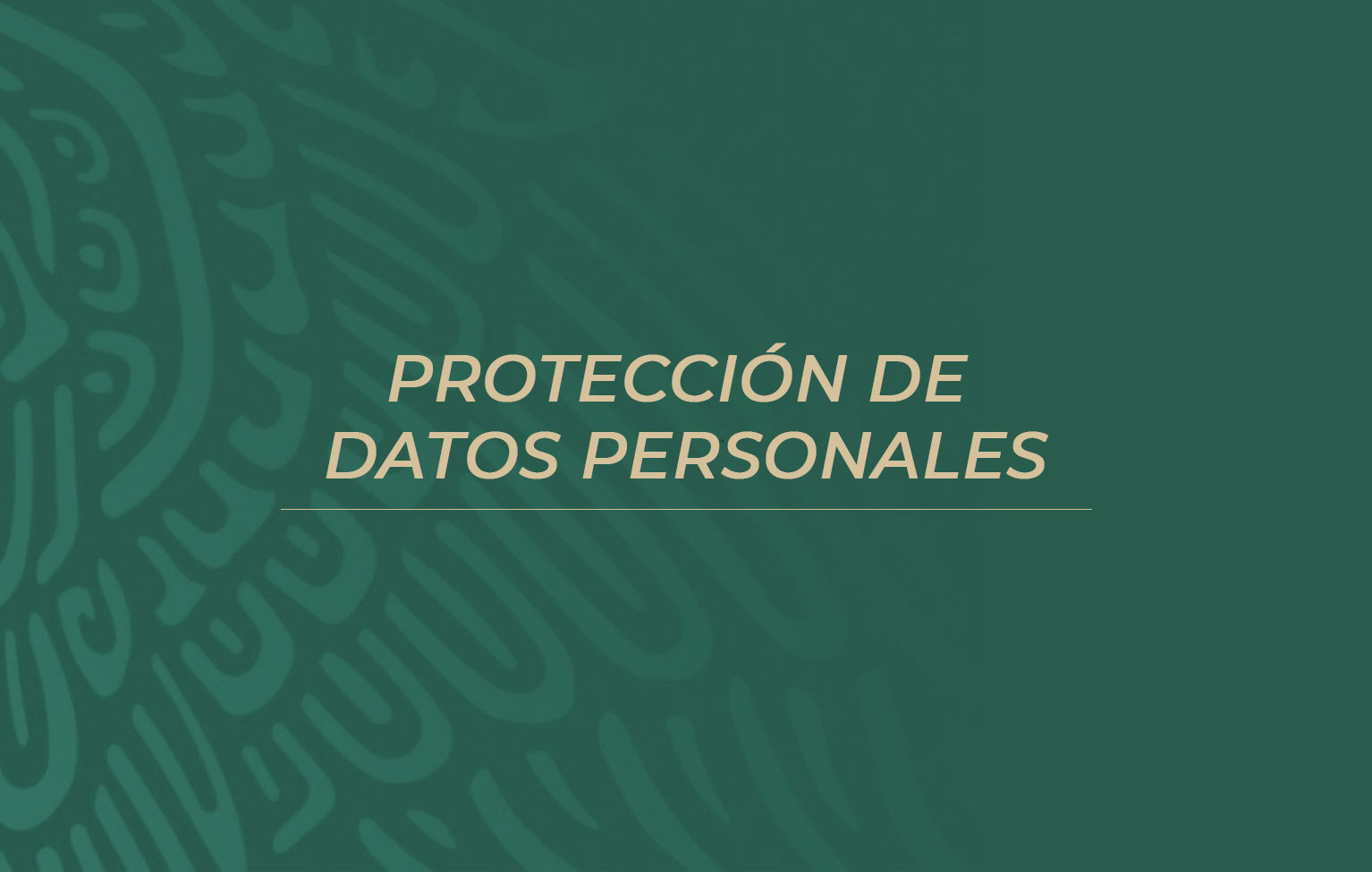 Proteccin de Datos Personales