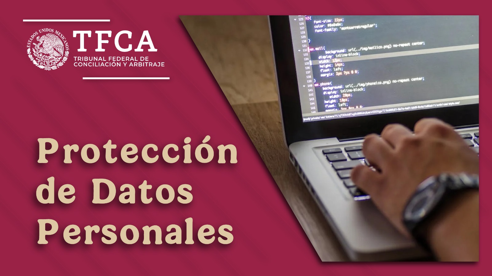 Proteccin de Datos Personales